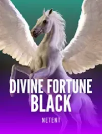 divine fortune black official logo